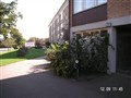 Ekstrand 007.jpg